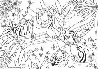 Tigers Colouring Page