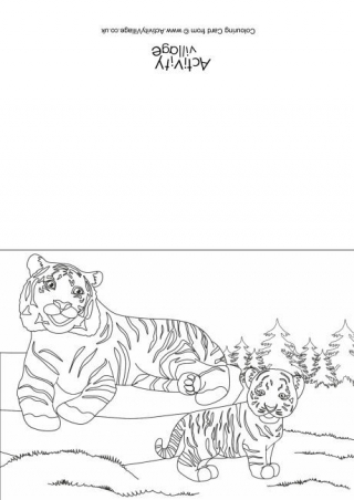 Tigers Scene Colouring Card