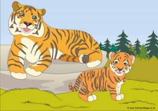 Tigers Scene Poster