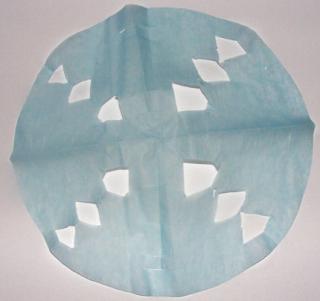 Tissue Paper Snowflake