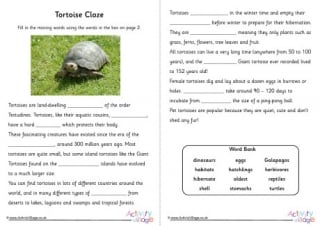 Tortoise Cloze