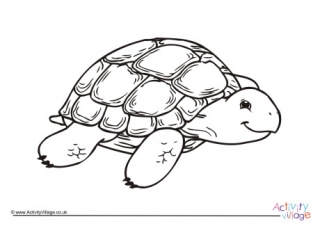 Tortoise Colouring Page 1