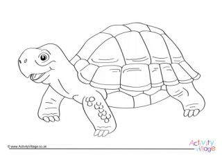 Tortoise Colouring Images Tortoise Colouring Page 5