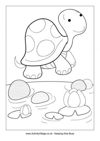 Tortoise Colouring Page