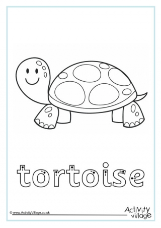 Tortoise Finger Tracing