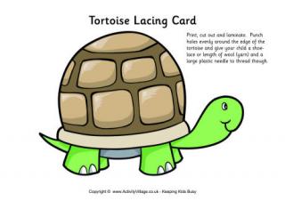 Tortoise Lacing Card