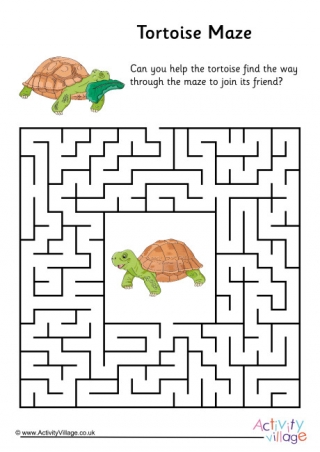 Tortoise Maze 1