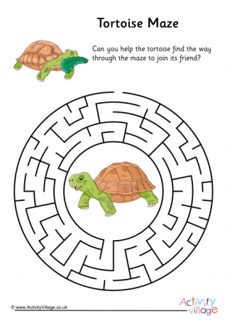 Tortoise Maze 2