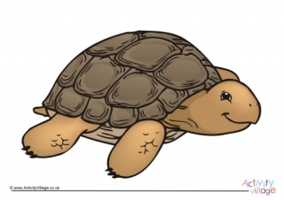 Tortoise Poster 2
