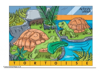 Tortoise Spelling Jigsaw