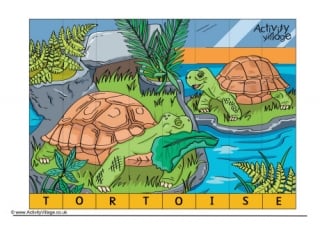 Tortoise Spelling Jigsaw