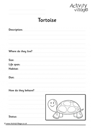 Tortoise Worksheet