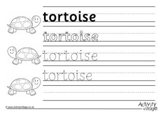 Tortoise Worksheets