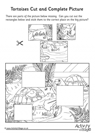 Tortoises Cut And Complete The Picture