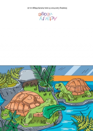 Tortoises Scene Card