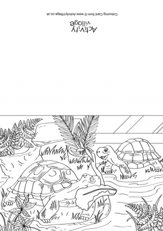 Tortoises Scene Colouring Card