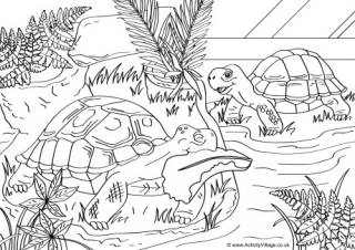 Tortoises Scene Colouring Page