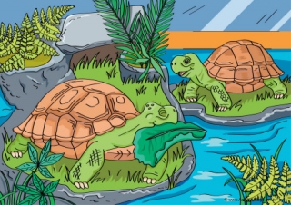Tortoises Scene Poster