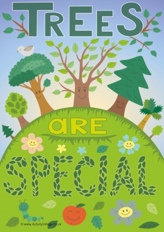 Trees Are Special Poster