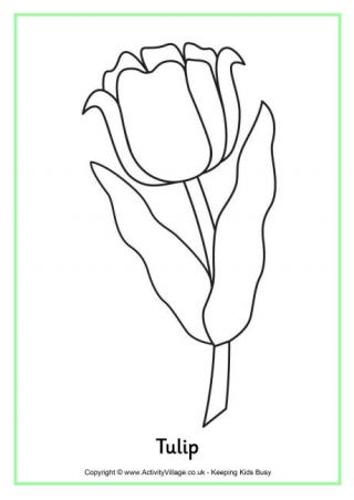 Tulip Colouring Page