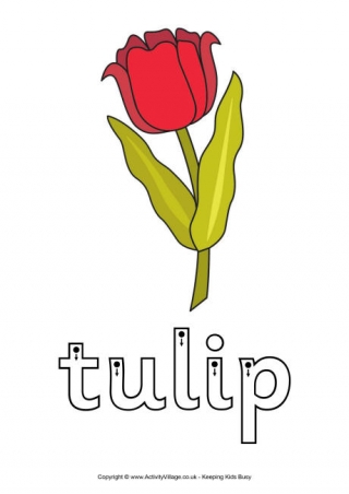 Tulip Finger Tracing