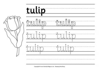 Tulip Handwriting Worksheet