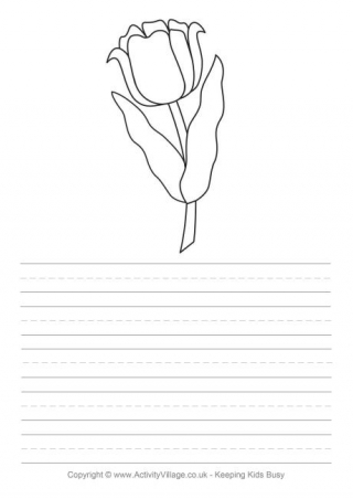 Tulip Story Paper