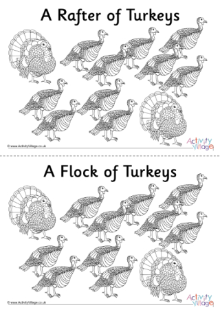 Turkey Collective Noun Colouring Pages