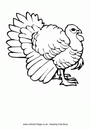 Turkey Colouring Page