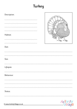 Turkey Fact Finding Worksheets