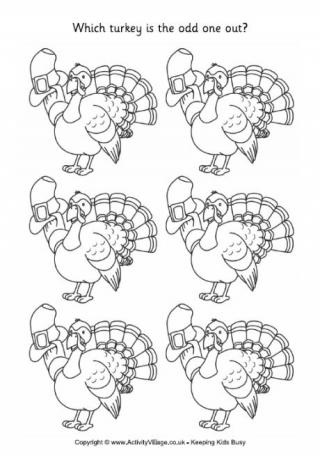 Turkey - Odd One Out