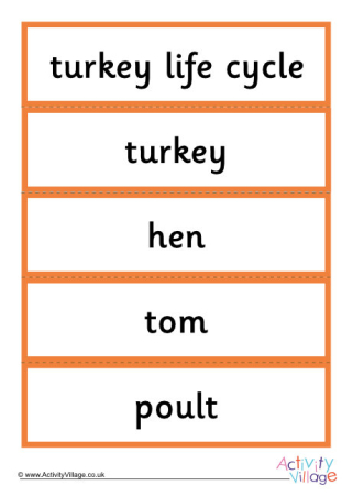 Turkey Word Cards