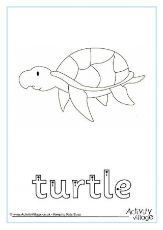 Turtle Finger Tracing