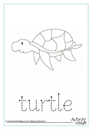 Turtle Word Tracing