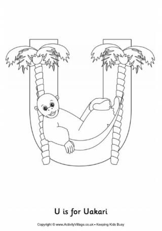 U is for Uakari Colouring Page