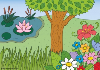 Undergrowth Backdrop