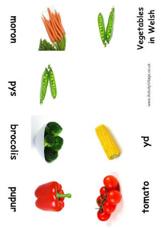 Vegetables Booklet Welsh
