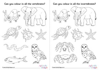 Vertebrates Invertebrates Colouring Pages