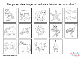 Vertebrates Invertebrates Colouring Pages