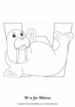 W is for Walrus Colouring Page