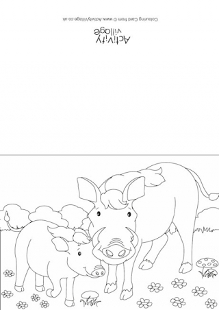 Warthogs Scene Colouring Card