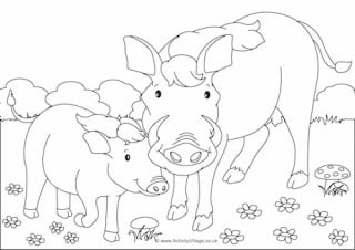 Warthogs Scene Colouring Page