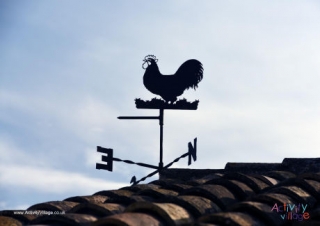 Weather Vane Poster