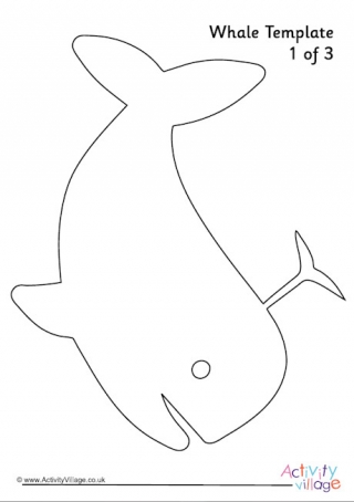 Whale template 2