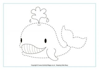 Whale Tracing Page
