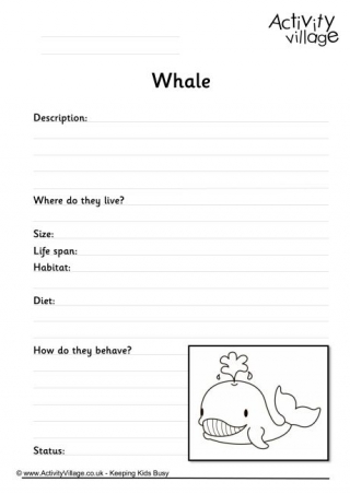 Whale Worksheet