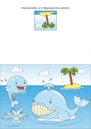 Whales Card