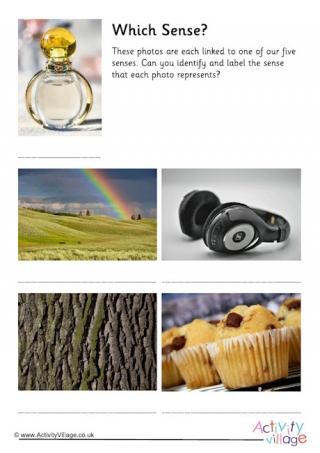 five senses worksheets