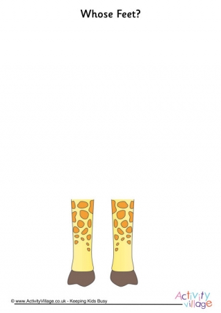 Whose Feet Giraffe