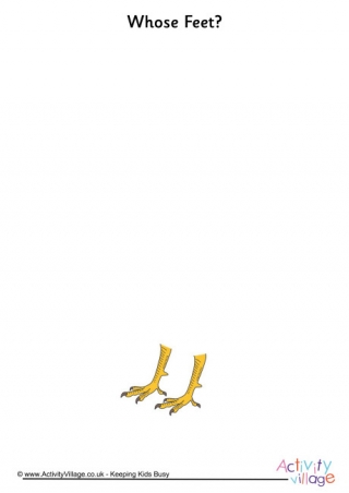 Whose Feet Turkey
